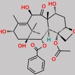 Docetaxel 7-Epi-DAB-Impurity CAS#: 71629-92-0
