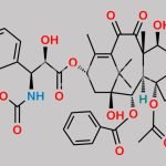 Docetaxel EP Impurity B CAS#: 167074-97-7