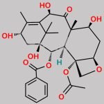 Docetaxel EP Impurity E CAS#: 32981-86-5