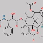 Docetaxel EP Impurity F CAS#: 33069-62-4