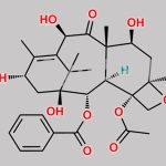 Docetaxel Impurity 12 CAS#: 165173-47-7