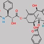Docetaxel Impurity 18 CAS#: 154084-01-2