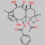 Docetaxel Impurity 20 CAS#: 1217248-58-2