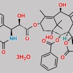 Docetaxel Trihydrate CAS#: 148408-66-6