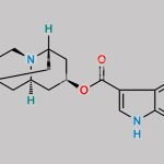 Dolasetron CAS#: 115956-12-2