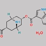 Dolasetron Impurity 1 CAS#: N/A