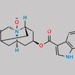 Dolasetron N-Oxide impurity CAS#: N/A