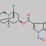 Dolasetron Nitroso Impurity CAS#: N/A