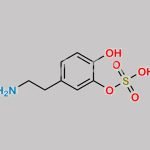 Dopamine 3-O-Sulfate CAS#: 51317-41-0