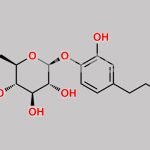Dopamine-4-O-Beta-Glucoside CAS#: 50909-01-8