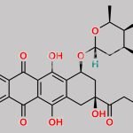 Doxorubicin CAS#: 23214-92-8