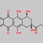Doxorubicin EP Impurity D CAS#: 24385-10-2