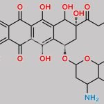 Doxorubicin Impurity 13 CAS#: N/A