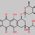 Doxorubicin Impurity 16 CAS#: N/A