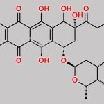 Doxorubicin Impurity 18 CAS#: N/A