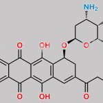Doxorubicin Impurity 24 CAS#: 80996-23-2