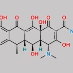 Doxycycline EP Impurity D CAS#: 97583-08-9