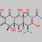 Doxycycline EP Impurity E CAS#: 79-57-2