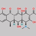 Doxycycline EP Impurity F CAS#: 122861-53-4