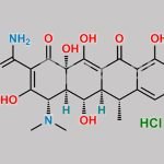 Doxycycline Hydrochloride CAS#: 10592-13-9