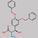 Droxidopa Impurity 25 CAS#: 106887-48-3