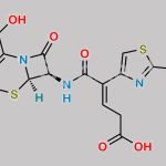 (E)-Ceftibuten CAS#: 1428117-81-0