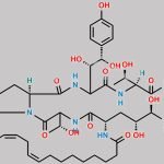 Echinocandin B CAS#: 54651-05-7