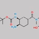 Edoxaban Impurity 25(1R,2S,4R) Oxalate CAS#: 2605225-72-5