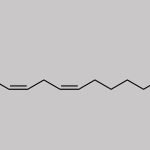 Eicosapentaenoic Acid Impurity 8 CAS#: 2580285-53-4