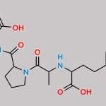 Enalaprilat EP Impurity E CAS#: N/A