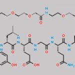 Endo-AEEA-Semaglutide CAS#: N/A