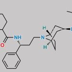 Endo-Maraviroc R-isomer CAS#: 2079102-92-2