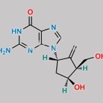 Entecavir EP Impurity B CAS#: 1367369-77-4