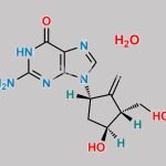Entecavir Hydrate CAS#: 209216-23-9