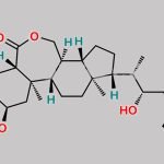 Epibrassinolide CAS#: 78821-43-9