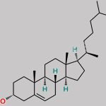 Epicholesterol CAS#: 474-77-1
