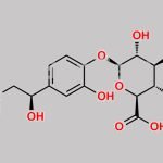 Epinephrine Glucuronide CAS#: 54964-61-3