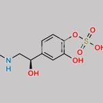 Epinephrine Sulfate CAS#: 85927-06-6