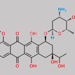 Epirubicin EP Impurity E CAS#: N/A