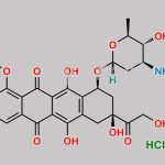 Epirubicin Hydrochloride CAS#: 56390-09-1