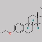 Equilenin Impurity 3 CAS#: N/A