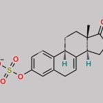 Equilin 3-Sulfate Sodium Salt CAS#: 16680-47-0