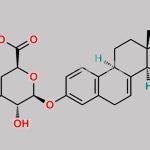 Equilin glucuronide CAS#: 76663-60-0