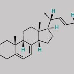 Ergocalciferol EP Impurity B CAS#: 57-87-4