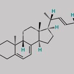 Ergocalciferol EP Impurity C CAS#: 474-69-1