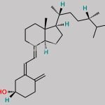 Ergocalciferol EP Impurity G CAS#: 511-28-4