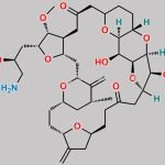 Eribulin Impurity 3 CAS#: 1534341-96-2