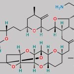 Eribulin Mesylate CAS#: 441045-17-6