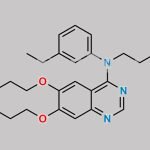 Erlotinib Impurity 51 CAS#: N/A