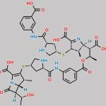 Ertapenem Dimer Ester Impurity CAS#: 402955-38-8